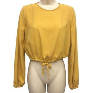Aritzia Wilfred Eleanora cinch waist cropped long sleeve blouse